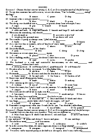 Các đề luyện thi môn Tiếng Anh 12 - Idioms