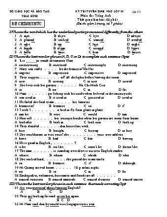 Đề ôn thi tuyển sinh vào lớp 10 THPT môn Tiếng Anh 9 - Đề số 17