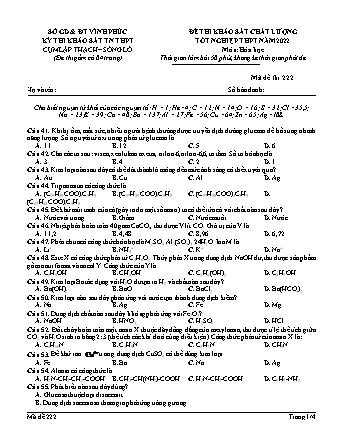 Đề thi khảo sát chất lượng tốt nghiệp THPT năm 2022 môn Hóa học 12 - Mã đề 222 (Có đáp án)