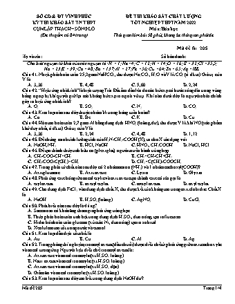 Đề thi khảo sát chất lượng tốt nghiệp THPT năm 2022 môn Hóa học 12 - Mã đề 205 (Có đáp án)