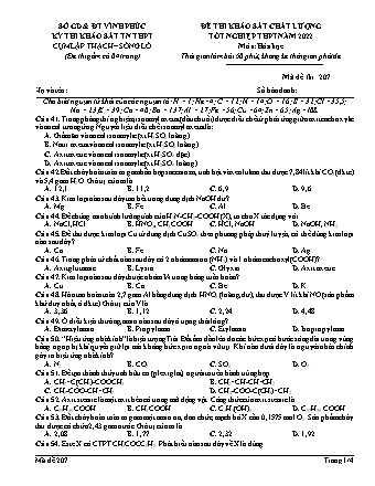 Đề thi khảo sát chất lượng tốt nghiệp THPT năm 2022 môn Hóa học 12 - Mã đề 207 (Có đáp án)