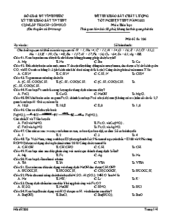 Đề thi khảo sát chất lượng tốt nghiệp THPT năm 2022 môn Hóa học 12 - Mã đề 206 (Có đáp án)