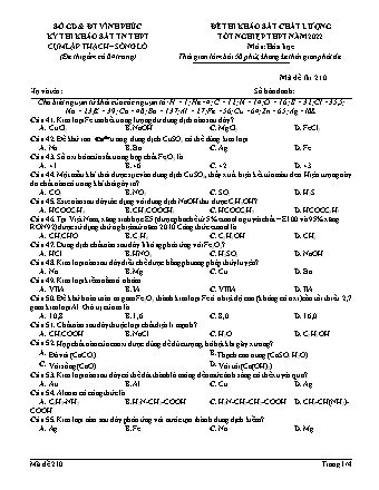 Đề thi khảo sát chất lượng tốt nghiệp THPT năm 2022 môn Hóa học 12 - Mã đề 210 (Có đáp án)