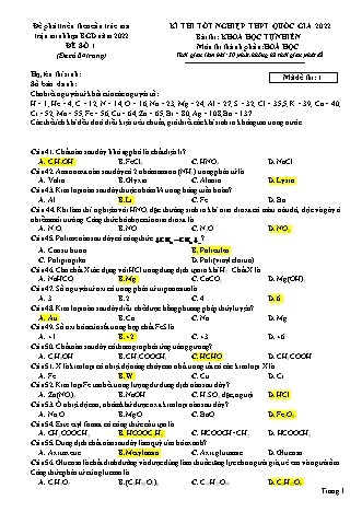 Đề thi tốt nghiệp THPT Quốc gia 2022 môn Hóa học 12  (Theo đề minh họa BGD năm 2022) - Mã đề 1 (Có đáp án)