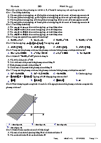 Đề kiểm tra giữa kì 1 Lớp 10 môn Toán sách Cánh diều - Mã đề 445