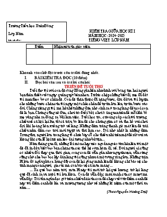 Đề kiểm tra giữa học kì I môn Toán, Tiếng Việt 5 - Trường TH Xuân Đông (Năm học 2024-2025)(Ma trận + Hướng dẫn chấm)