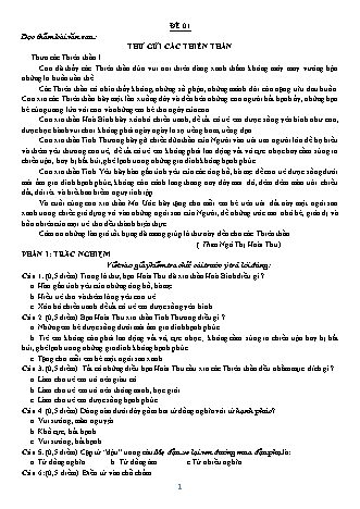Đề ôn giữa học kì I môn Tiếng Việt 5 (Đọc hiểu)