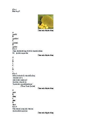 Đề Trạng nguyên Tiếng Việt Lớp 1 (Đề 2 - Có đáp án)