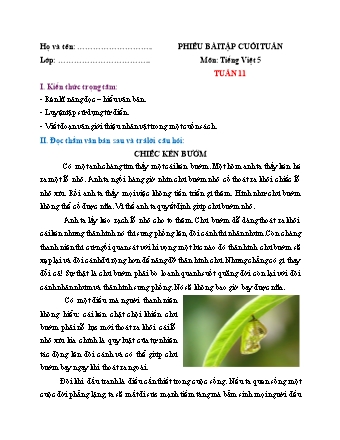 Phiếu bài tập cuối tuần môn Tiếng Việt 5 (Kết nối tri thức) - Tuần 11 (Có đáp án)