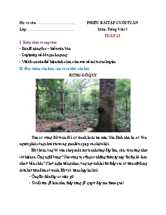 Phiếu bài tập cuối tuần môn Tiếng Việt 5 (Kết nối tri thức) - Tuần 13 (Có đáp án)