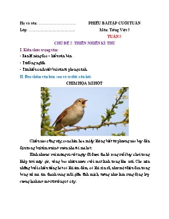 Phiếu bài tập cuối tuần môn Tiếng Việt 5 (Kết nối tri thức) - Tuần 5 (Có đáp án)