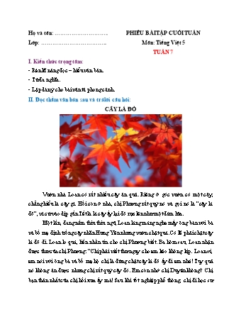 Phiếu bài tập cuối tuần môn Tiếng Việt 5 (Kết nối tri thức) - Tuần 7 (Có đáp án)